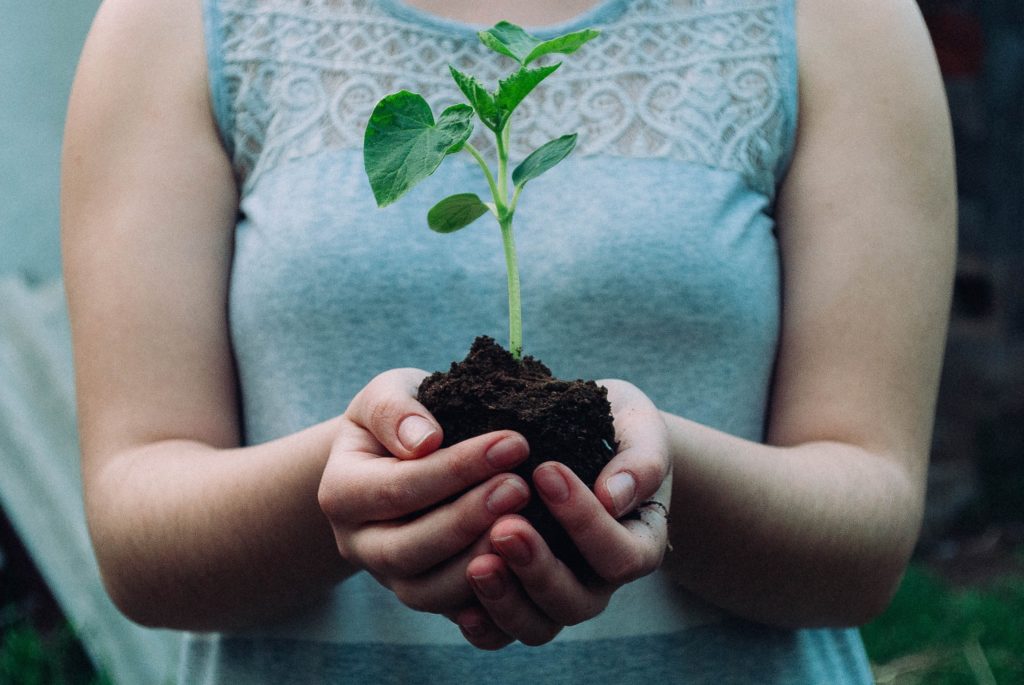 Woman with grey blouse holds a uprooted plant with her bare hands. Just like growing a plant, growing a digital presence relies on learning new skills.